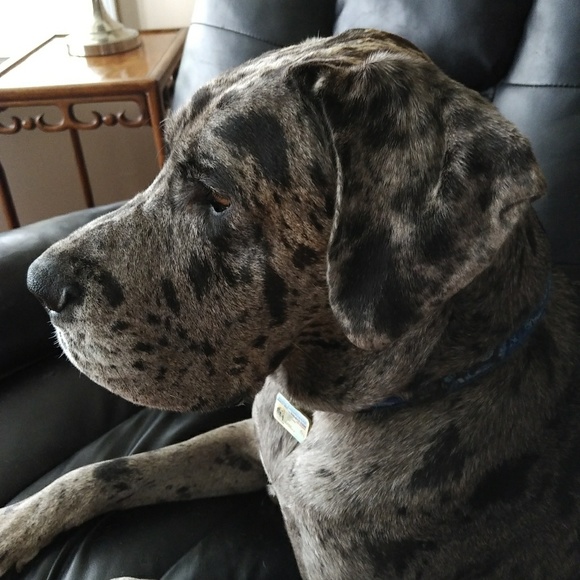 Meet your Posher, Leanne - Picture 1 of 1